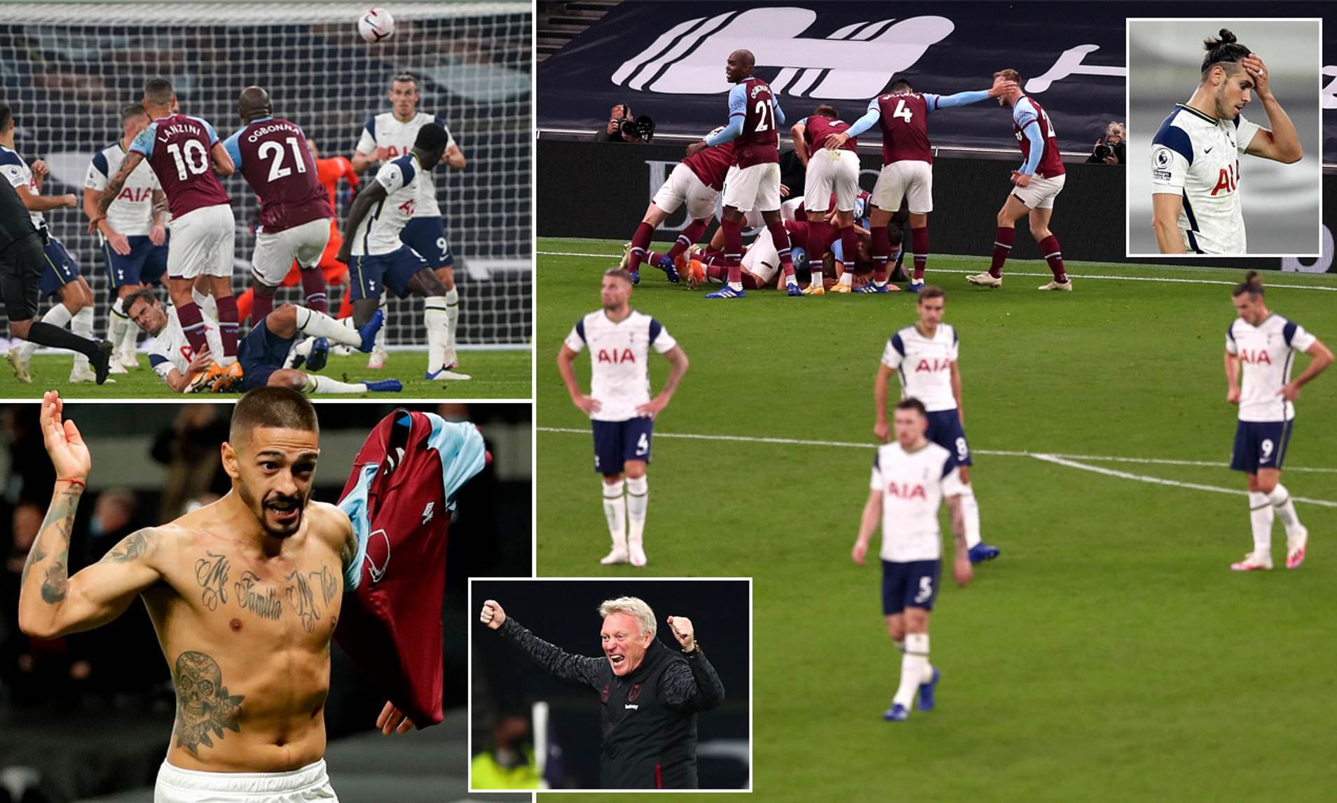 专职的哺乳 专职的哺乳