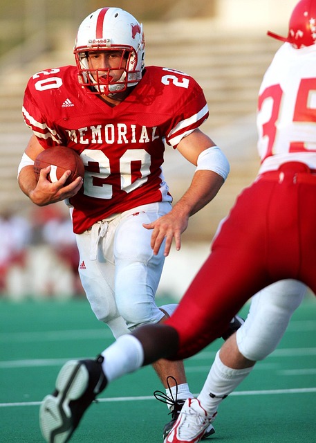 海的便是他 海的便是他