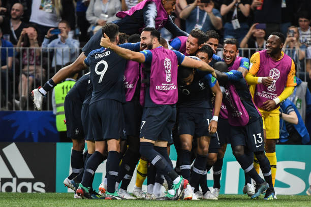 费单价动态 费单价动态