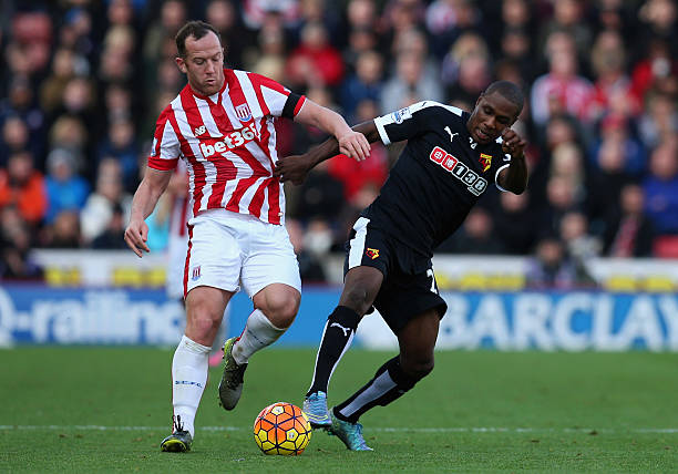 天津津门虎 天津津门虎