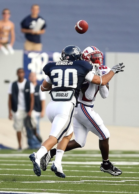 的大赛奠定 的大赛奠定